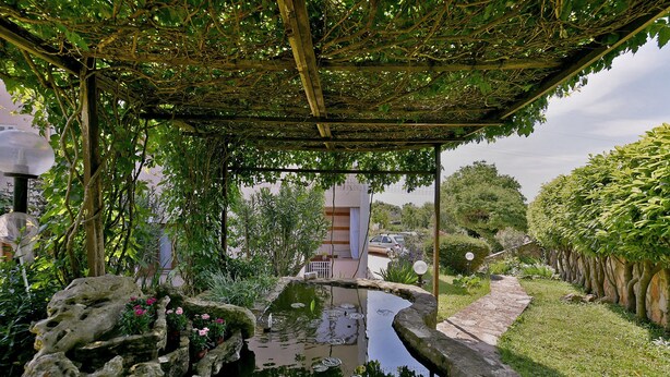 Un giardino con uno stagno, un pergolato e un vialetto in pietra.
