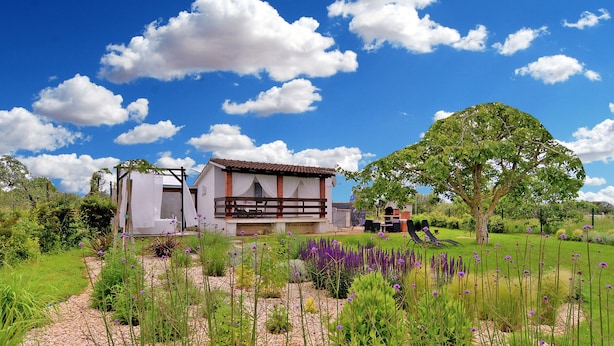 A house with a balcony, surrounded by a garden with purple flowers and a large tree. - House 1884 (Fazana)