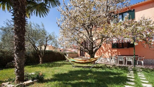 A garden with a hammock, a palm tree, and a building with a balcony. - Apartment 1893 (Fazana)