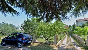 En bil parkerad på en grusväg med en vingård och ett hus i bakgrunden.