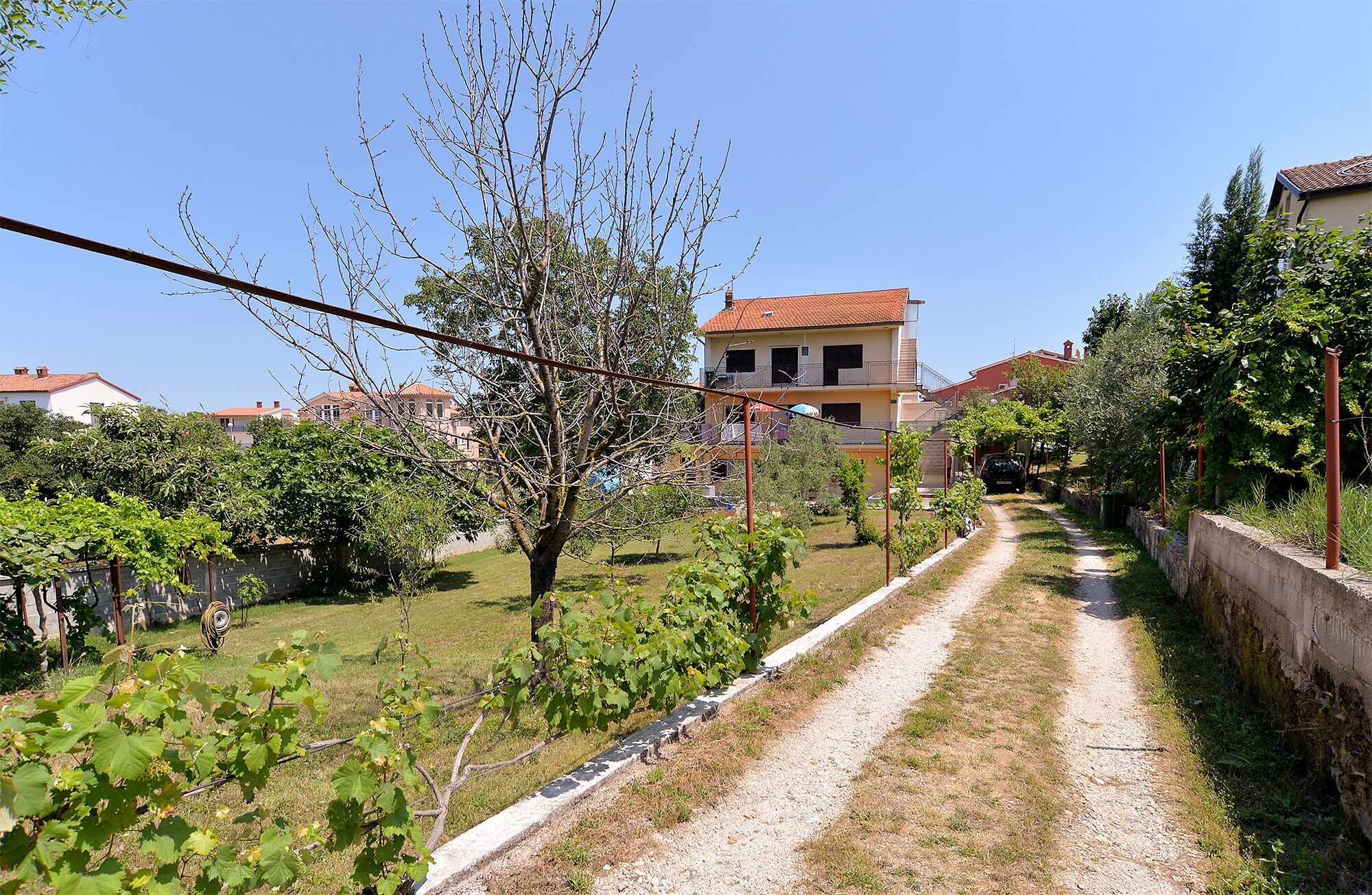 A rural road with a vineyard on one side and a residential area with houses and a building with a red roof in the background.