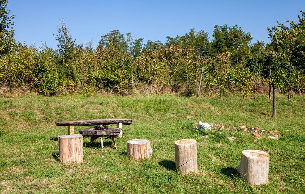 Un tavolo da picnic con panche e tronchi di legno in un prato erboso, con alberi sullo sfondo.