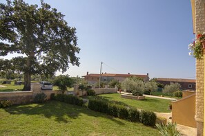 حديقة