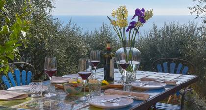 Peaceful Villa Stay in Rapallo