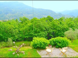 Garden - Beautiful Cottage in Pescia with Hot Tub (Pescia)