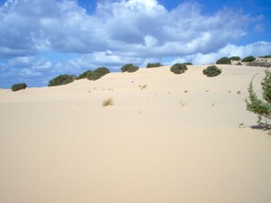 Ferienhaus | Blick von der Unterkunft