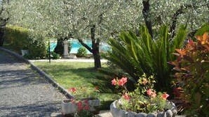A garden with various plants and a pathway leading to a pool. - House in Pistoia Countryside (Pistoia)