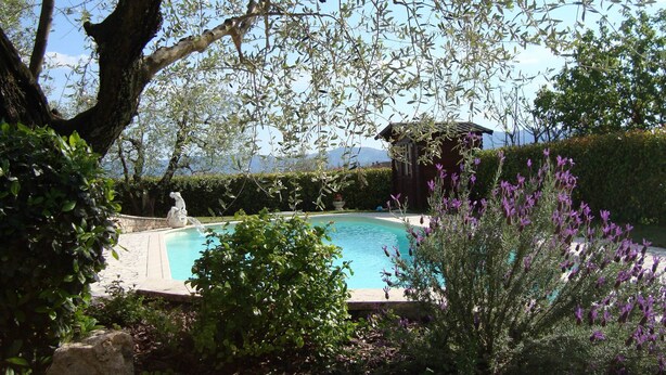 A swimming pool surrounded by lush greenery and a small building. - House in Pistoia Countryside (Pistoia)