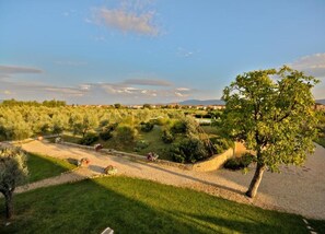 Ferienhaus | Blick von der Unterkunft