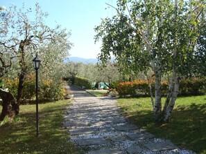 Ferienhaus | Garten