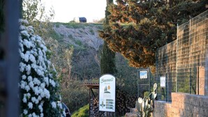 A sign welcoming visitors to a location with a path leading to a building.