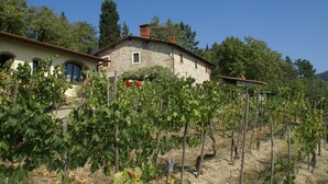 A stone house with a vineyard in front. - Agriturismo Poggio di Montepescoli - L'aia (Pelago)