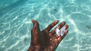 Unclassified image, 3 of 7, button - Holiday inn (Maafushi)