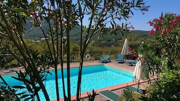 House | Pool | Outdoor pool