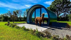 Un edificio moderno con una entrada curva y una llama parada delante.
