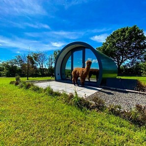 Front of property - Black Knowe, Luxury Glamping, Ballycastle (Ballycastle)