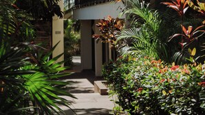 Un sendero bordeado por abundante vegetación y la entrada de un edificio.