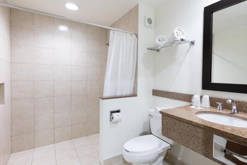 Un baño con inodoro, lavamanos y zona de ducha.