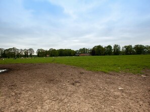 Hus | Utsikt fra overnattingsstedet