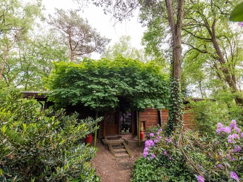 Simple Holiday Home on Private Island of 5000 m2 Accessible by Rowing Boat & Ferry