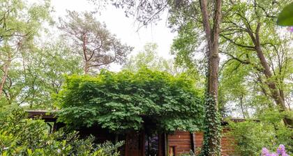 Simple Holiday Home on Private Island of 5000 m2 Accessible by Rowing Boat & Ferry