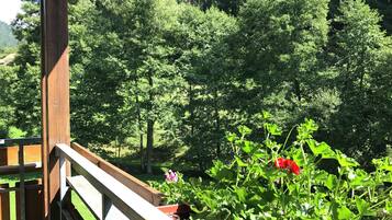 Apartment | Balcony