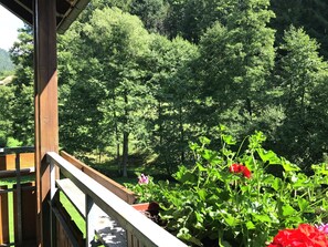Apartment | Balcony