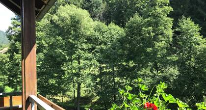 Comfortable Apartment in Baiersbronn With Balcony