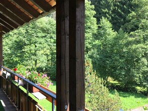 Apartment | Balcony - Comfortable Apartment in Baiersbronn With Balcony (Baiersbronn)