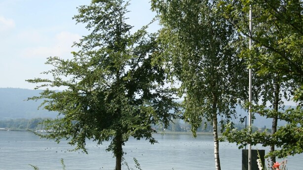 Exterior - Cozy Apartment in Moos near Lake Constance (Moos)