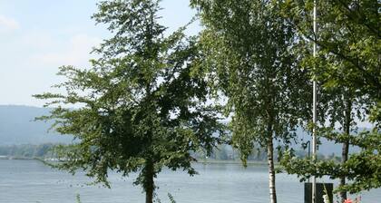 Cozy Apartment in Moos near Lake Constance