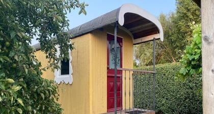 Gypsy Caravan in Weideblick With Farm Animals