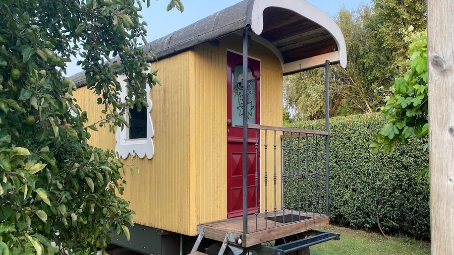 Gypsy Caravan in Weideblick With Farm Animals
