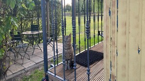 Ett takförsett utomhusområde med ett bord och stolar, en katt på ett trädäck och en trädgård i bakgrunden.