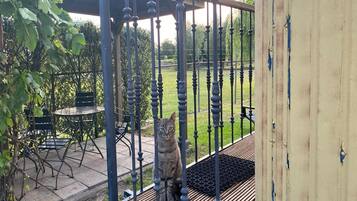 House | Terrace/patio