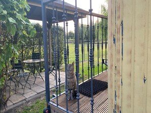 House | Terrace/patio - Gypsy Caravan in Weideblick With Farm Animals (Bergen op Zoom)