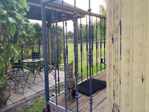 Ferienhaus | Terrasse/Patio