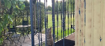 Gypsy Caravan in Weideblick With Farm Animals