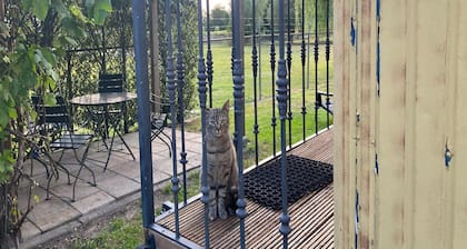Gypsy Caravan in Weideblick With Farm Animals