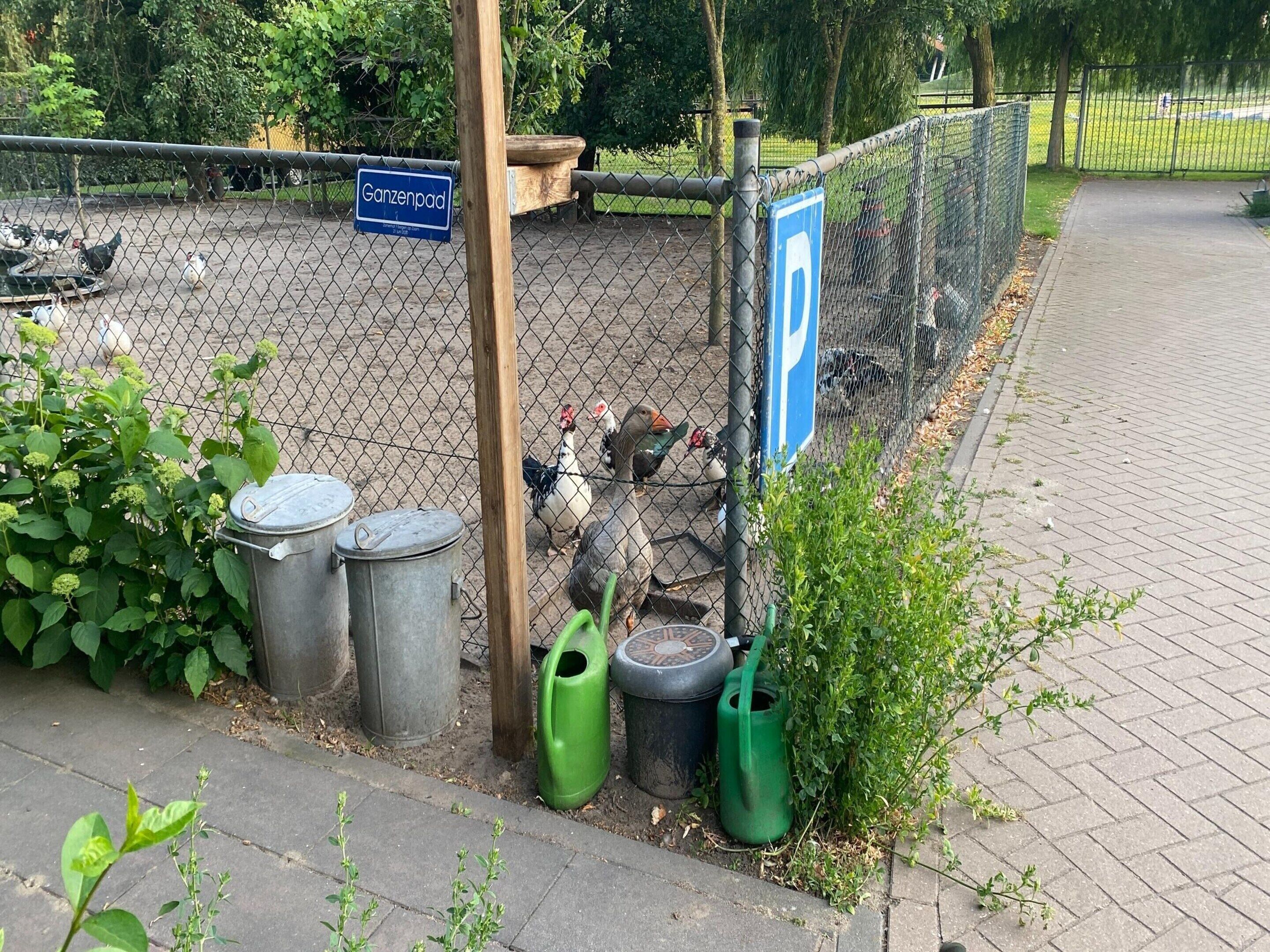A fenced area with a sign reading 'Ganzenpad,' a parking sign, and trash bins.