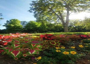 الإطلالة من المنشأة