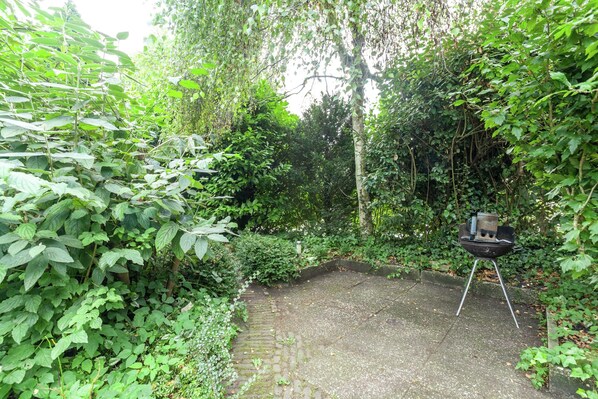 House | Property grounds