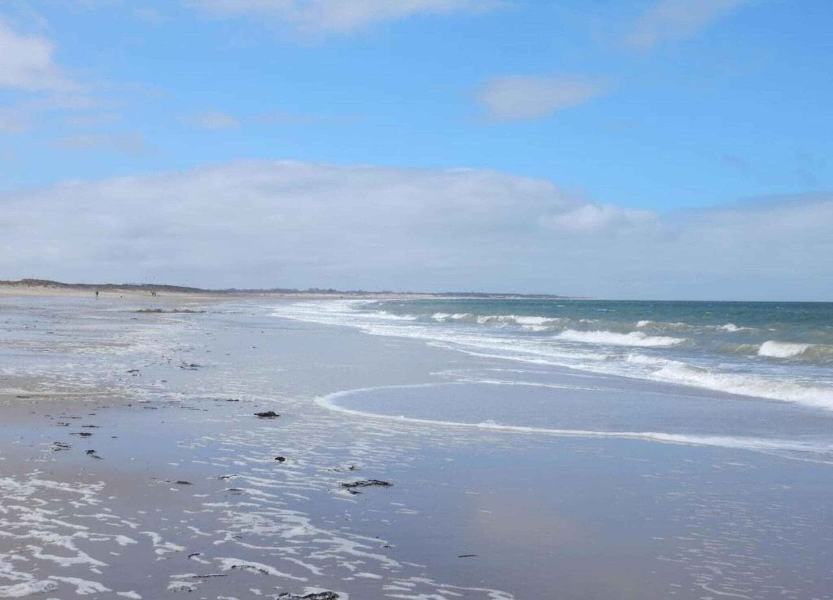 House | Pemandangan dari hartanah