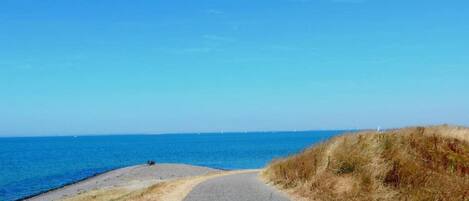 House | View from property