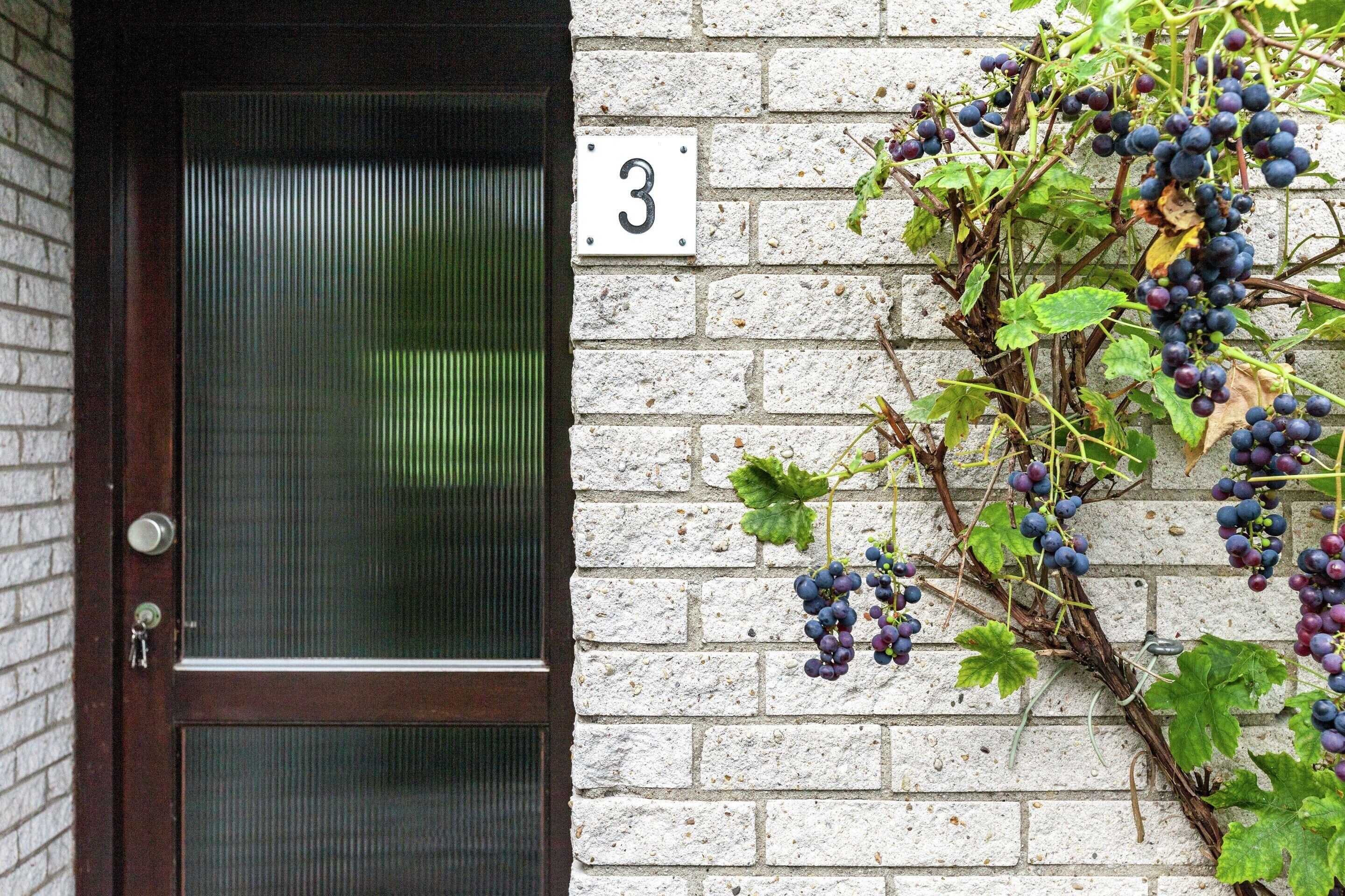 A door with a number plate '3' and a vine with grapes growing against a brick wall.
