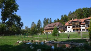 A lakeside view with a small pond, surrounded by a grassy area with rocks and trees.