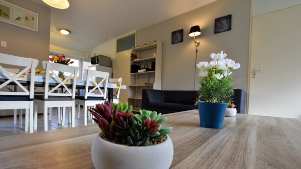 A modern living room with a wooden table, white chairs, a blue potted plant, and a white potted succulent. - Appealing Holiday Home in Guelders near Forest (Lochem)