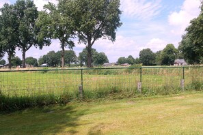 House | Garden - Holiday Home in With Cycling Area (Den Ham)