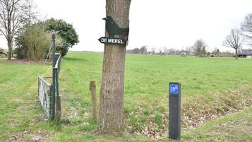 Ferienhaus | Unterkunftsgelände