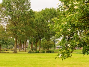 House | View from property - Holiday Home in With Cycling Area (Den Ham)
